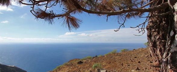 Строительный участок с разрешением на строительство 729 La Palma